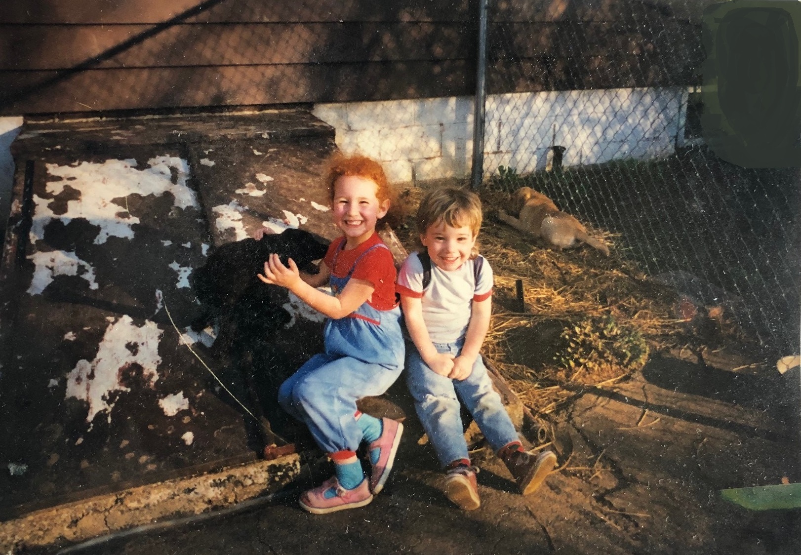 1996 Chasey Boy and Cay playing with our DOGS (Cutter and Cheyenne!)!